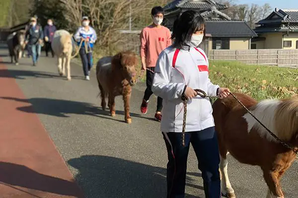 本格的で多彩な実習活動や合宿を実施！