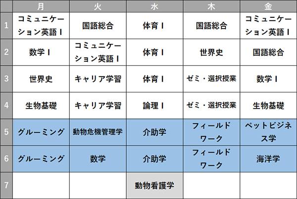 東京キャンパス ペット生命科学コース 時間割