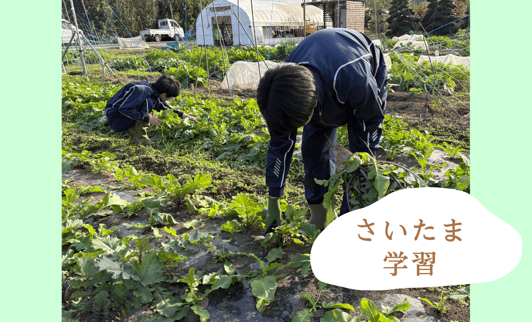 授業紹介】フィールドワーク～農業実習で一部収穫してきました