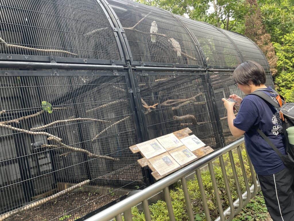大宮動物園にて生き物の特徴について観察しました!